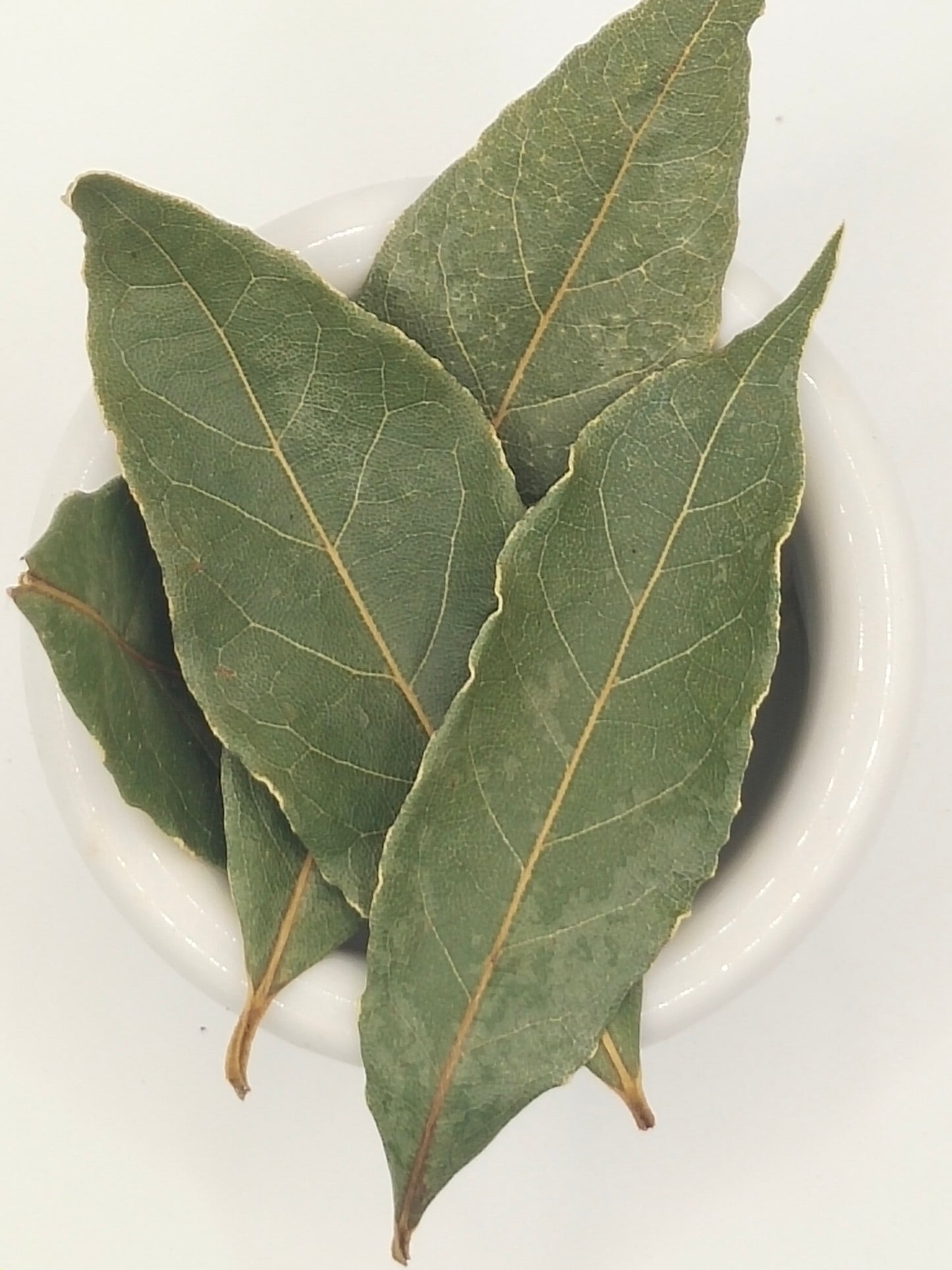 Bay Leaves