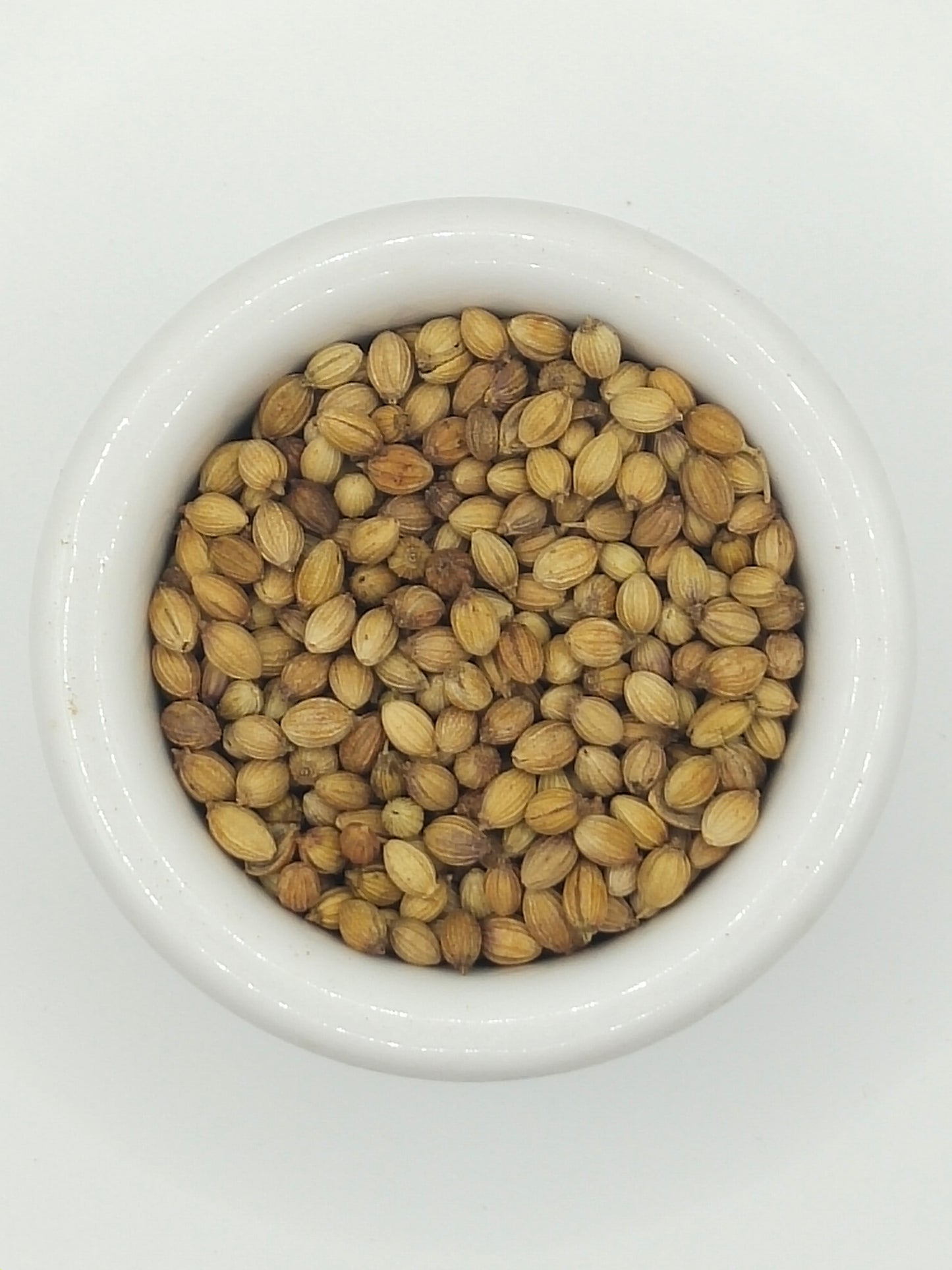 Coriander Seed