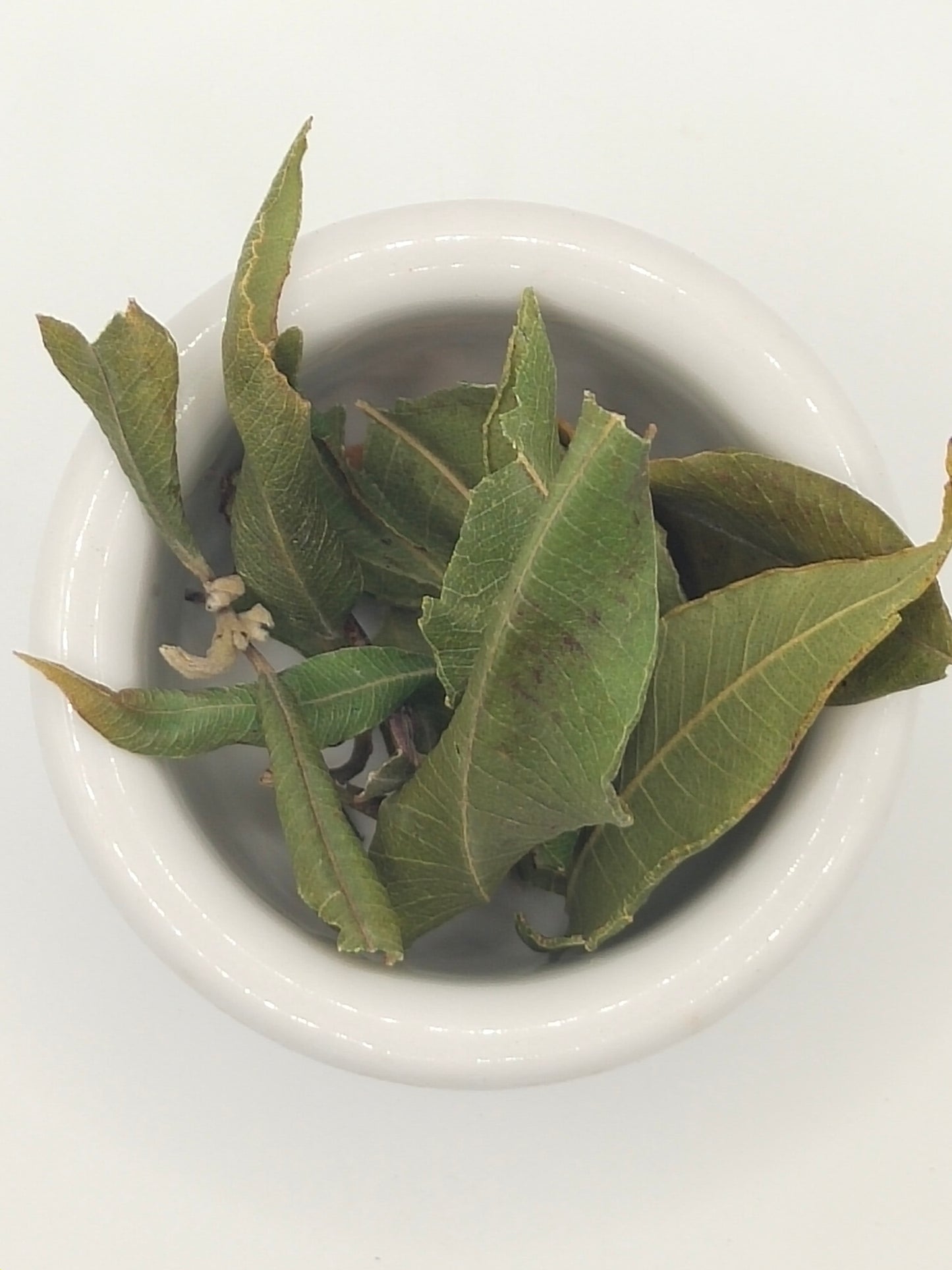 Lemon Myrtle Leaf