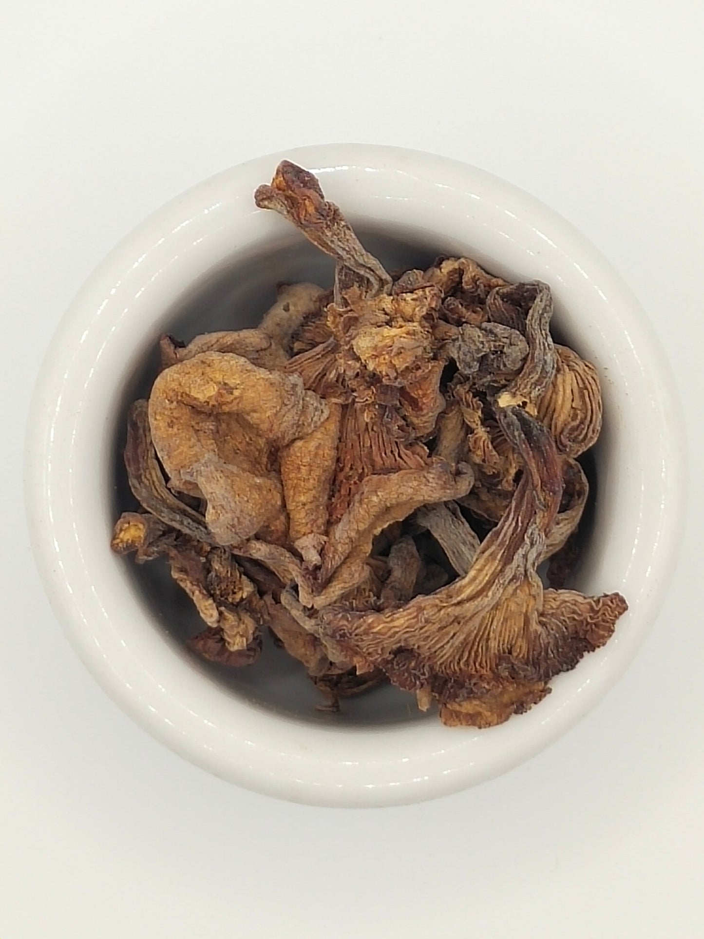 Mushroom Dried Chanterelle